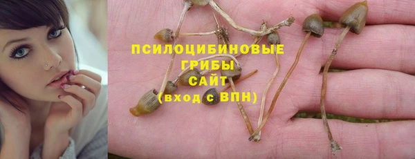 эйфоретик Горняк