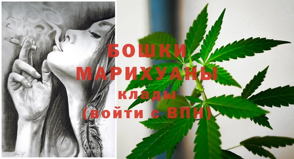 эйфоретик Горняк
