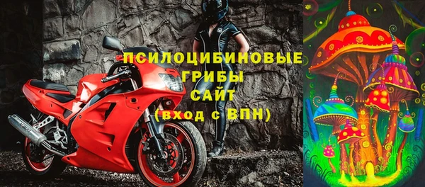 эйфоретик Горняк