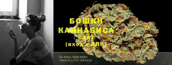 дурь Горнозаводск