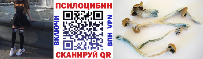 это наркотические препараты  Калининец  Галлюциногенные грибы Psilocybine cubensis 
